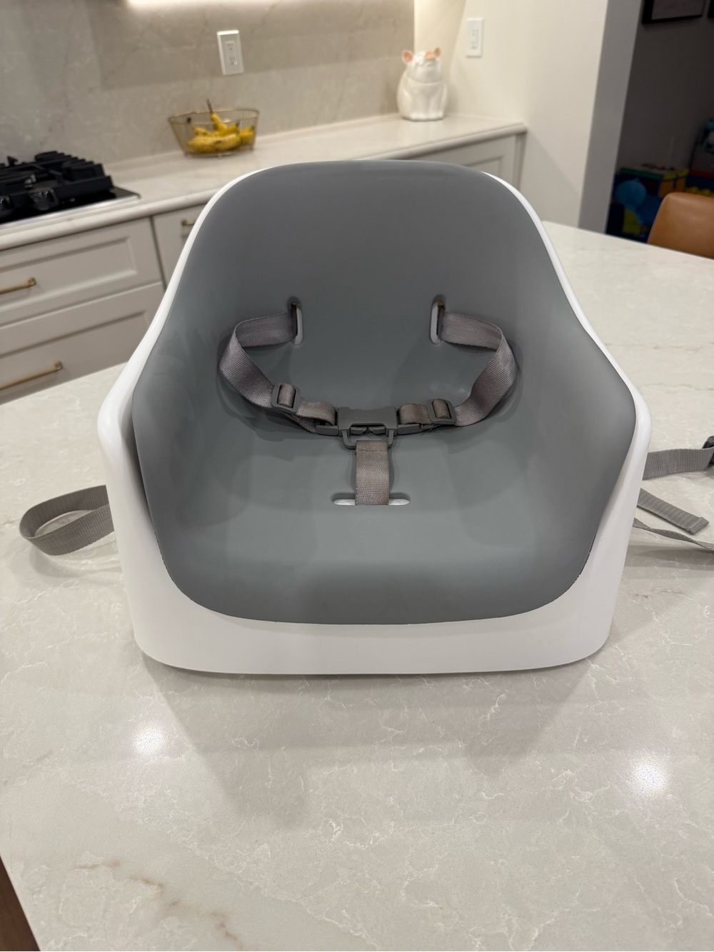 OXO booster seat with 3 point harness
